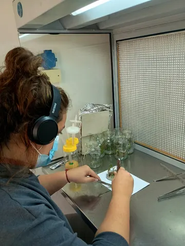Lab work at a bench