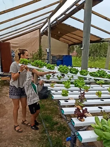Hydroponic greenhouse with leafy crops